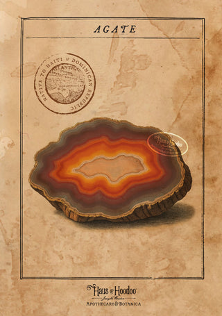 Agate - Native to Haiti and Dominican Republic