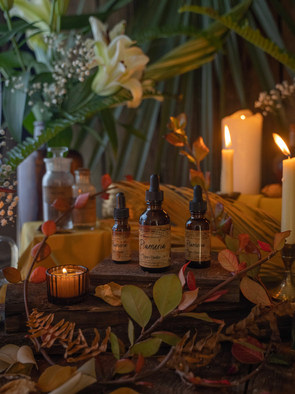Plumeria Flower Essence Oil