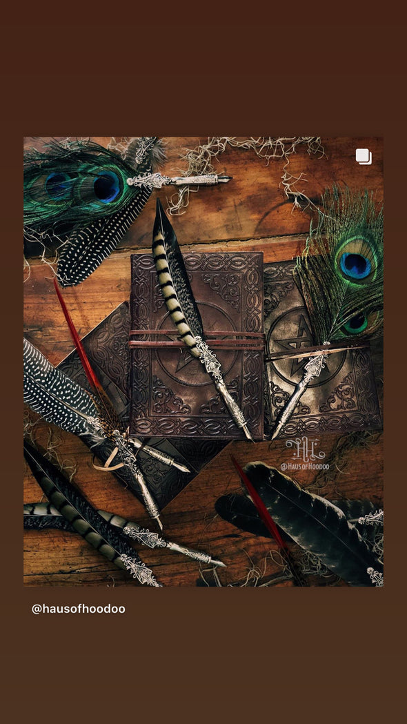 Feather Calligraphy Quill (Pheasant - Tail)