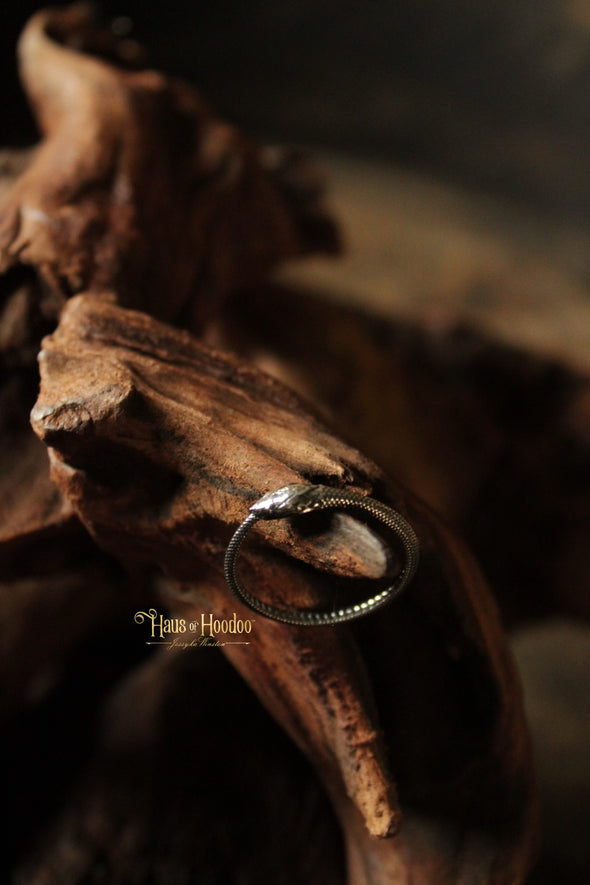 Silver Serpent "Protection" Ring